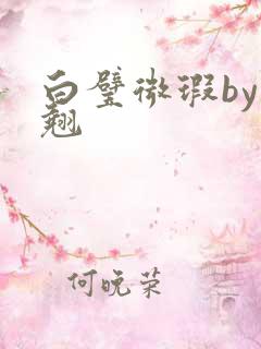 白璧微瑕by连翘
