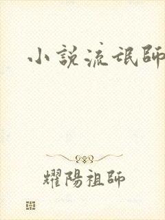 小说流氓师表