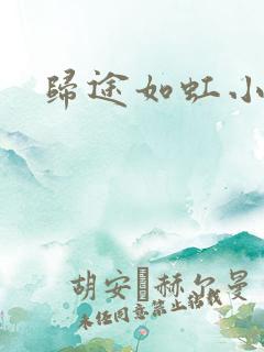 归途如虹小说