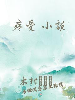 疼爱 小说