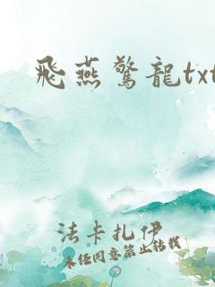 飞燕惊龙txt