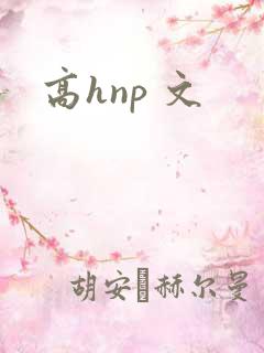 高hnp 文