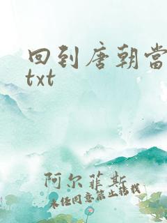 回到唐朝当皇帝txt