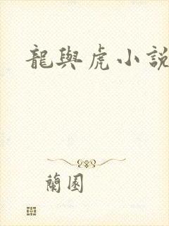 龙与虎小说