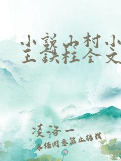 小说山村小神医王铁柱全文免费费阅读读