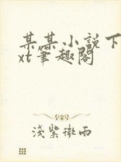 某某小说下载txt笔趣阁