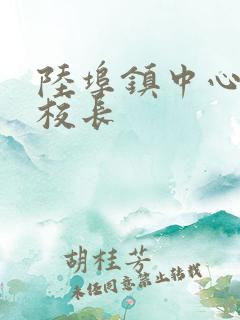 陆埠镇中心小学校长