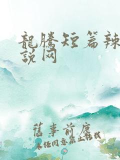 龙腾短篇辣文小说网