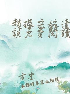 赵振宋婉清的小说免费阅读
