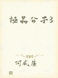 极品公子3