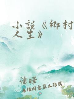 小说《乡村极品人生》