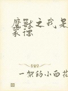 魔兽之我是阿克蒙德