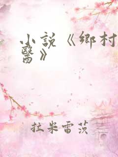 小说《乡村小傻医》