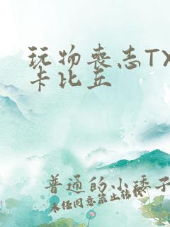 玩物丧志TXT卡比丘