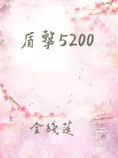盾击5200