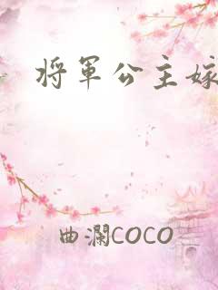 将军公主嫁到