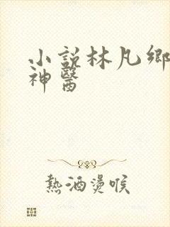 小说林凡乡野小神医