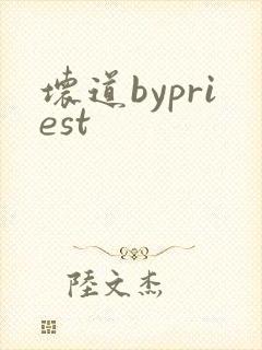坏道bypriest