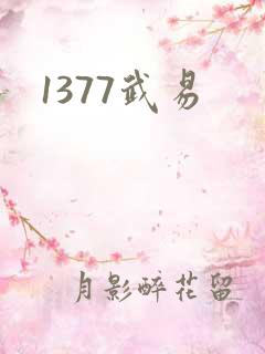 1377武易
