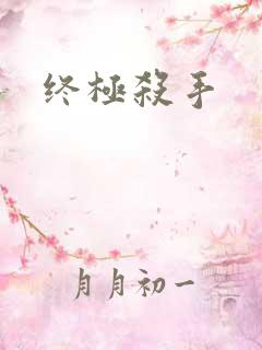 终极杀手