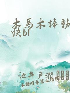 木马木棒动得好快bl