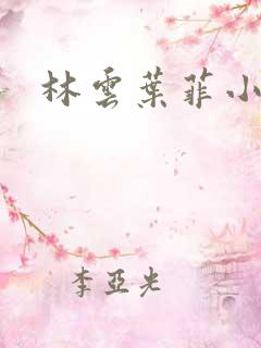林云叶菲小说