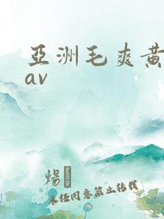 亚洲毛爽黄最新av