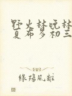 野火林晚林潮生夏布多初三边缘