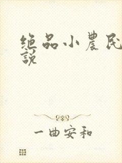 绝品小农民 小说
