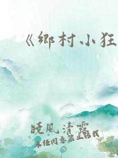 《乡村小狂医》