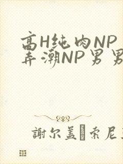 高H纯肉NP 弄潮NP男男