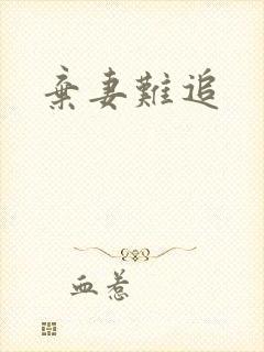 弃妻难追