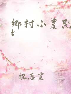 乡村小农民txt