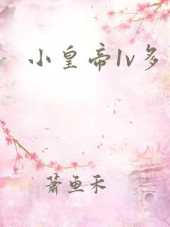 小皇帝1v多