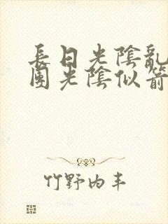 长日光阴乱作一团光阴似箭时
