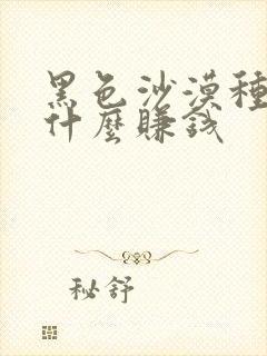 黑色沙漠种地种什么赚钱