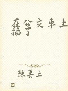 在公交车上被人插了