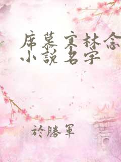 席慕寒林念儿的小说名字