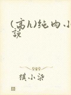 (高h)纯肉小说