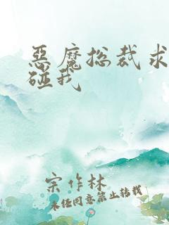 恶魔总裁求你别碰我