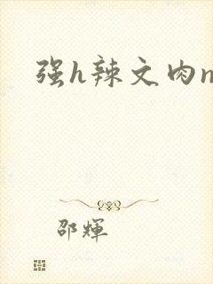 强h辣文肉np