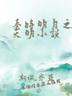 秦时明月之夜尽天明小说
