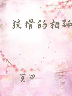 狡猾的相师