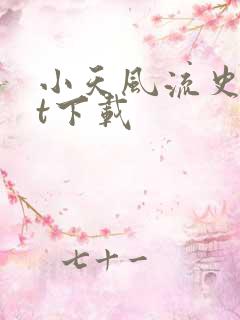 小天风流史txt下载