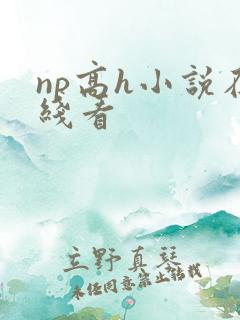 np高h小说在线看