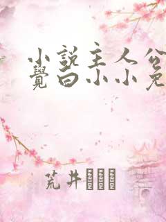 小说主人公沈惊觉白小小免费阅读