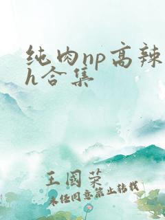 纯肉np高辣文h合集