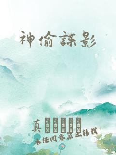 神偷谍影