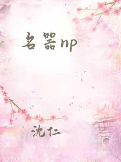 名器np