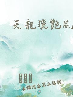 天龙猎艳风流